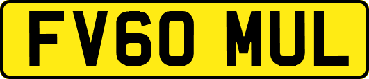 FV60MUL