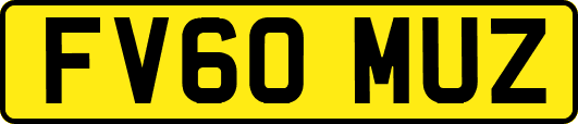 FV60MUZ
