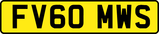 FV60MWS