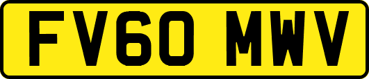 FV60MWV