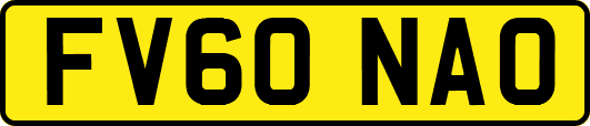 FV60NAO