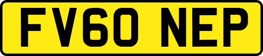 FV60NEP