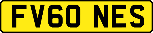 FV60NES