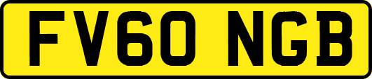 FV60NGB