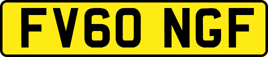 FV60NGF