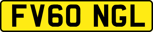 FV60NGL