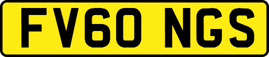 FV60NGS