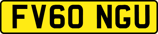 FV60NGU