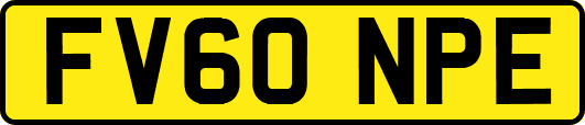 FV60NPE