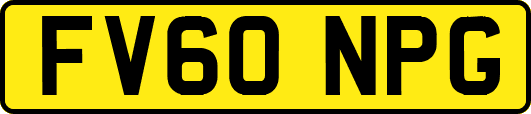 FV60NPG
