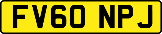 FV60NPJ