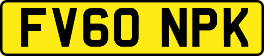 FV60NPK
