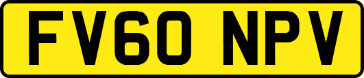 FV60NPV