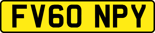 FV60NPY