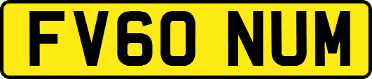 FV60NUM