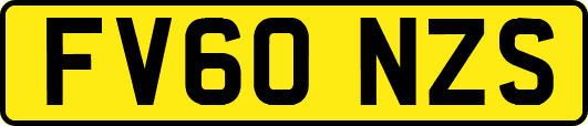 FV60NZS