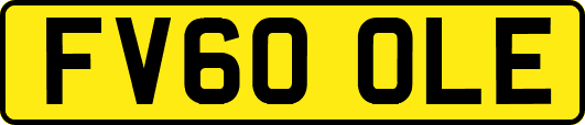 FV60OLE