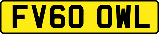 FV60OWL