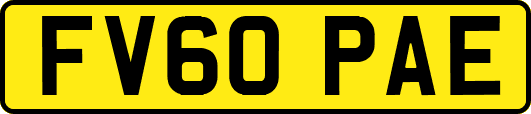 FV60PAE