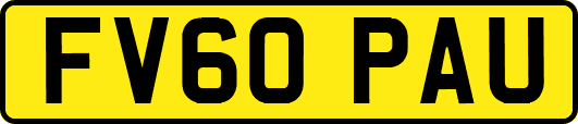 FV60PAU