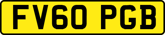FV60PGB