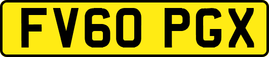 FV60PGX