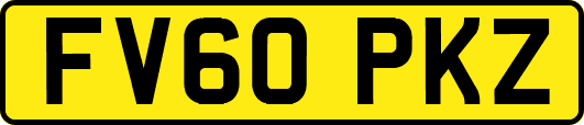 FV60PKZ