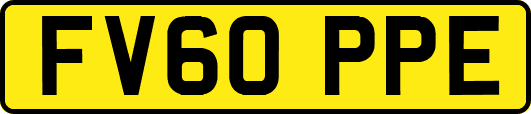 FV60PPE