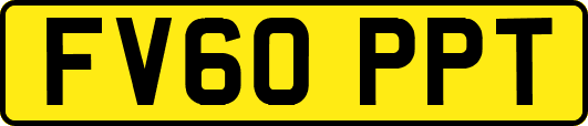 FV60PPT