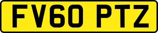 FV60PTZ