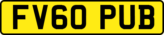 FV60PUB