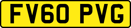 FV60PVG