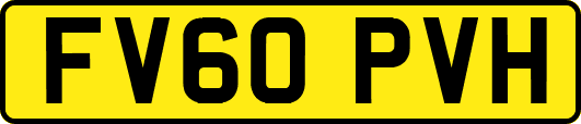 FV60PVH