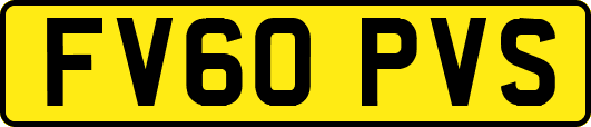FV60PVS