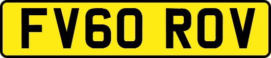 FV60ROV