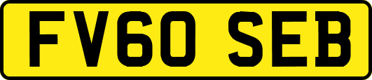FV60SEB