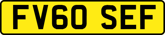 FV60SEF