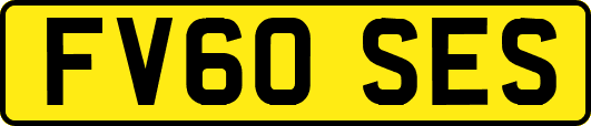 FV60SES