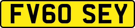 FV60SEY