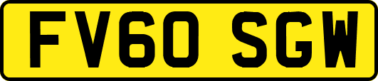 FV60SGW