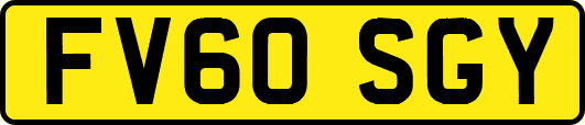 FV60SGY