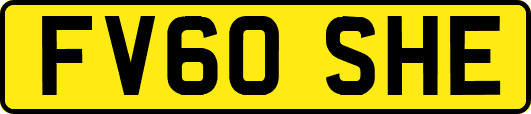 FV60SHE