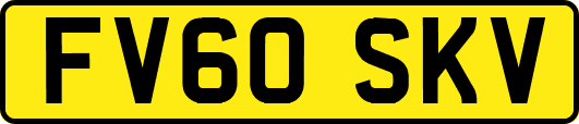 FV60SKV