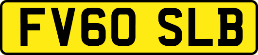 FV60SLB