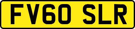 FV60SLR