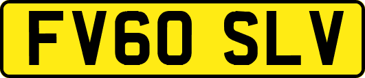 FV60SLV