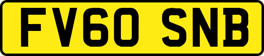 FV60SNB