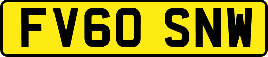 FV60SNW