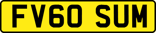 FV60SUM