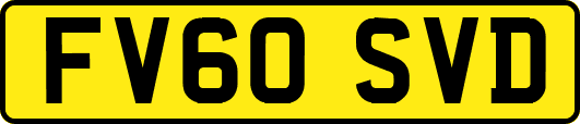 FV60SVD